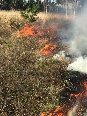 Trowbridge Brush Fire